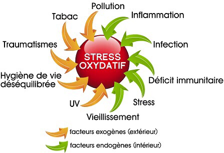 Stress Oxydatif